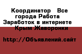 ONLINE Координатор - Все города Работа » Заработок в интернете   . Крым,Жаворонки